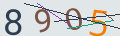 verifycode